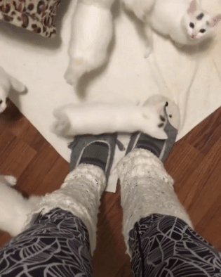 (4) Мой Мир@Mail.Ru