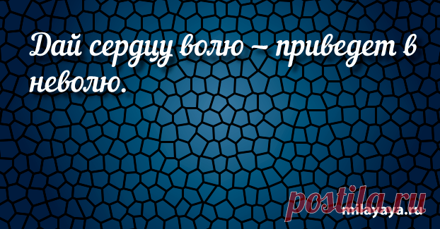 Короткая поговорка для женщин в картинках (картинка 32) . Милая Я