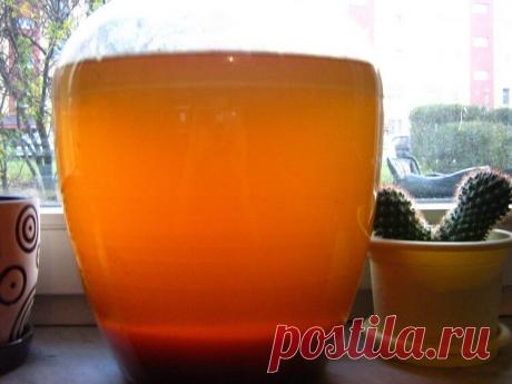 Вино из алычи в домашних условиях – лучшие рецепты