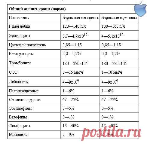 Расшифровка анализа крови...