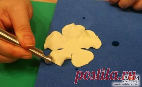 Цветы из мастики своими руками пошагово: мастер класс с фото и видео