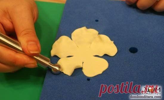 Цветы из мастики своими руками пошагово: мастер класс с фото и видео