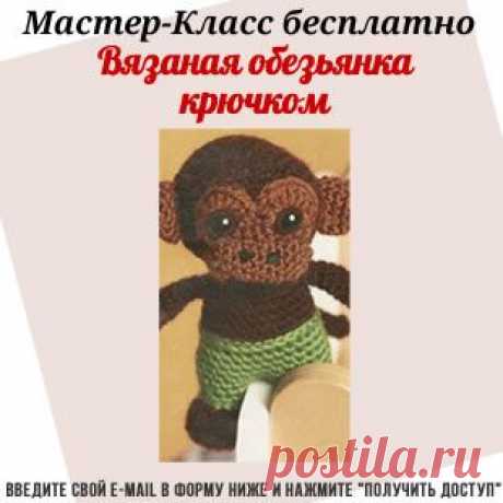 Вязаная обезьяна крючком
Следующий 2016 год — год обезьяны. Свяжите эту симпатичную обезьяну и посадите ее на праздничном новогоднем столе. Она встретит с вами Новый год, и тогда весь следующий год у вас будет добрым и хорошим.