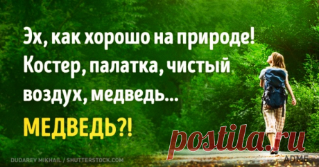 5 фактов о пеших прогулках, после прочтения которых резко хочется на природу