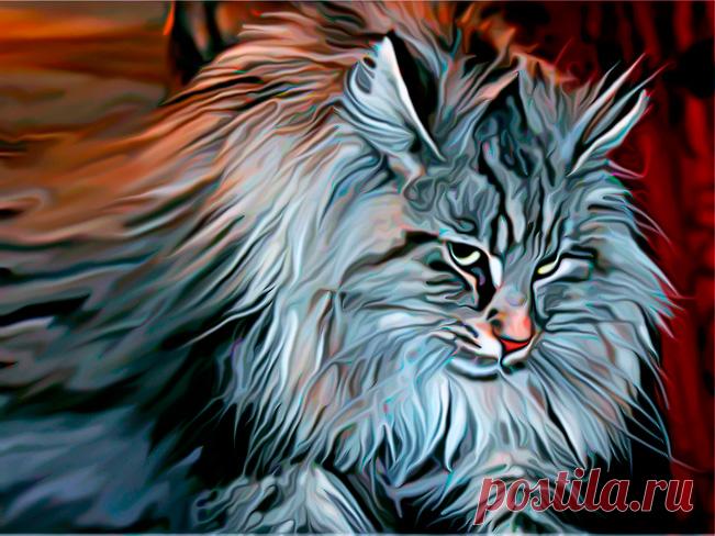 Интересные факты о кошках (3) Откуда произошли кошки

На Земле 10 млн лет назад жили примитивные насекомоядные животные, среди которых некоторые виды уже были схожи с млекопитающими. В процессе эволюции эти животные разделились на…