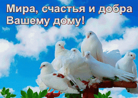 438654766410891.gif (491×350)
