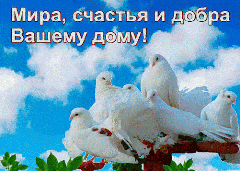 438654766410891.gif (491×350)