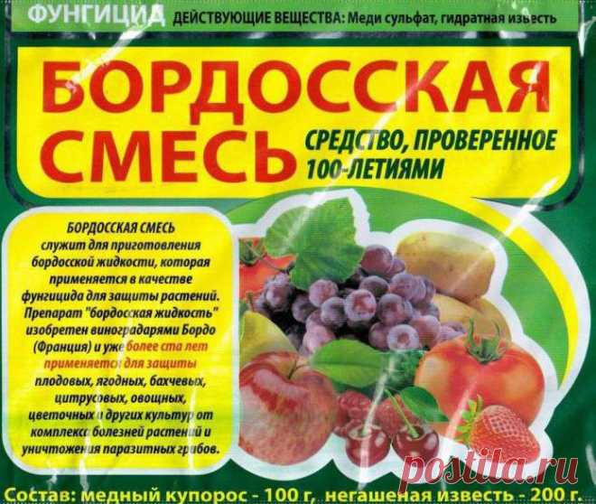 Бордоская жидкость: применение в садоводстве. Как приготовить бордоскую жидкость? :: SYL.ru