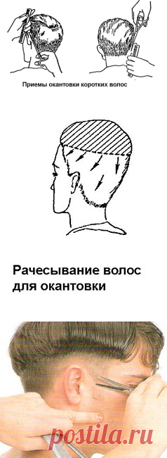 Окантовка мужской стрижки ножницами и машинкой  - фото мастер-класс.У каждого мужчины неповторимый индивидуальный естественный рост волос. Обязательно принимайте его во внимание, выгодно используйте и обыгрывайте.