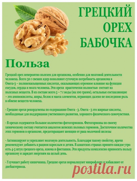 Грецкий орех