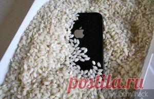 Как живет рынок? Барахольные рассказы (с)