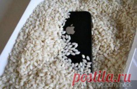 Как живет рынок? Барахольные рассказы (с)