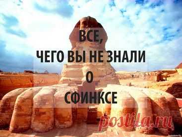 Шокирующие факты о сфинксе - ФОТО