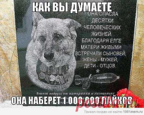 Одноклассники