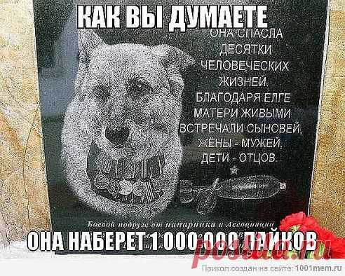 Одноклассники