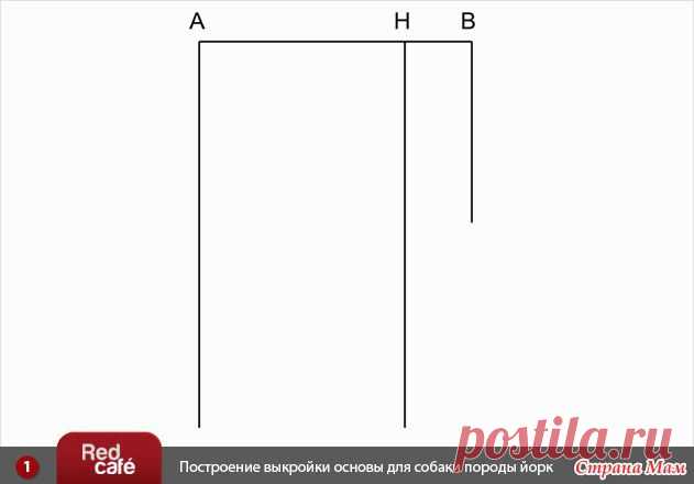 Построение индивидуальной выкройки для собаки (вариант № 2) - Гардероб для наших любимых питомцев (собак, кошек) - Страна Мам