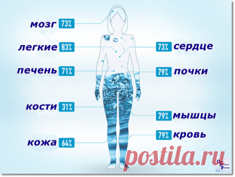 Сколько пить воды и зачем?