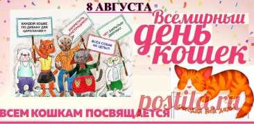 Кошки на свете любые бывают,
Но в нас одно они вызывают —
Счастье и радость их лицезреть,
Можно на них вечно смотреть.