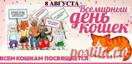 Кошки на свете любые бывают,
Но в нас одно они вызывают —
Счастье и радость их лицезреть,
Можно на них вечно смотреть.