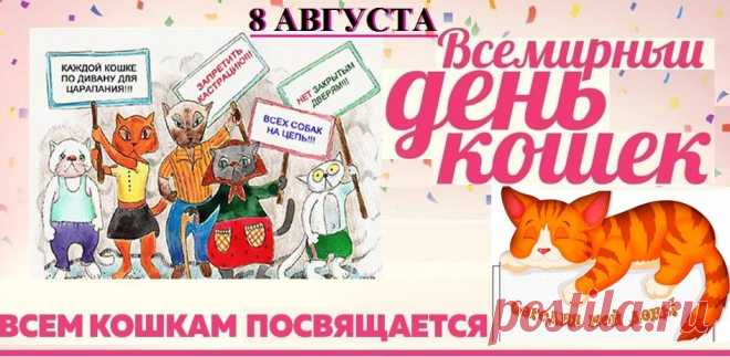 Кошки на свете любые бывают,
Но в нас одно они вызывают —
Счастье и радость их лицезреть,
Можно на них вечно смотреть.