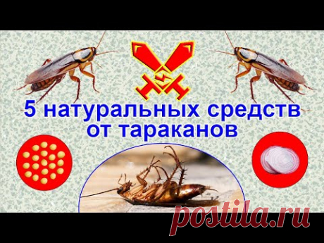 5 натуральных средств от тараканов
