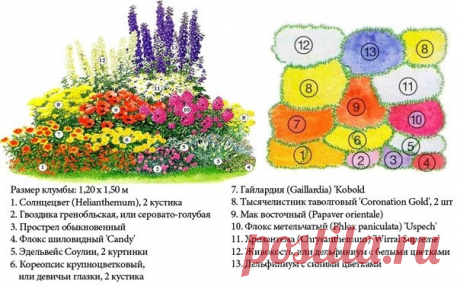 Дизайн клумбы на садовых участках