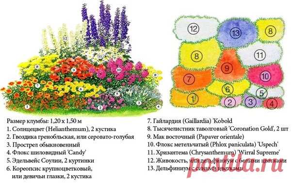 Дизайн клумбы на садовых участках