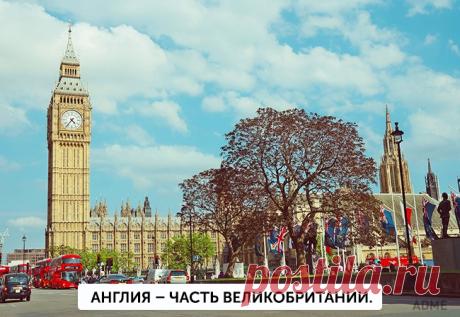 17 различий, которые больше не поставят нас в тупик