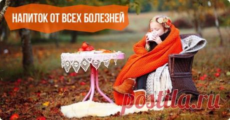 Иван-Чай — полезные свойства, описание, видео, фото — интернет-магазин «Родное Луговое»