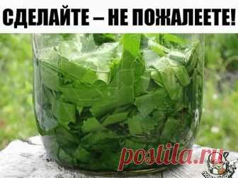 Хрен