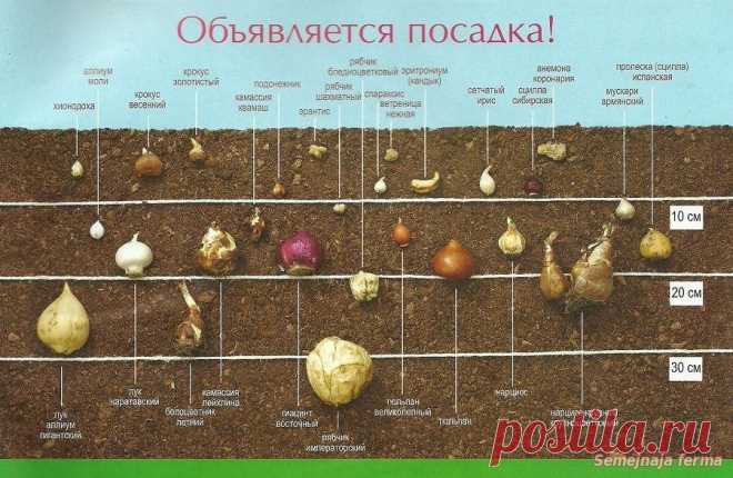 Без заголовка