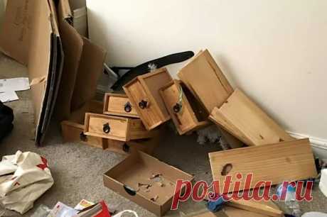 Вот что может случиться, когда вы сдаете квартиру . Милая Я
