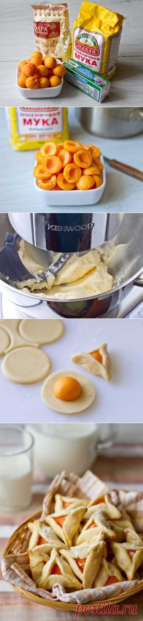 Песочное абрикосовое печенье - Пошаговый рецепт с фото | Выпечка | Вкусный блог - рецепты под настроение
Ингредиенты на 50-60 штук:

250 г сливочного масла комнатной температуры
125 г сахарной пудры
400 г муки (или больше, если потребуется)
30 мелких абрикосов или 15 покрупнее