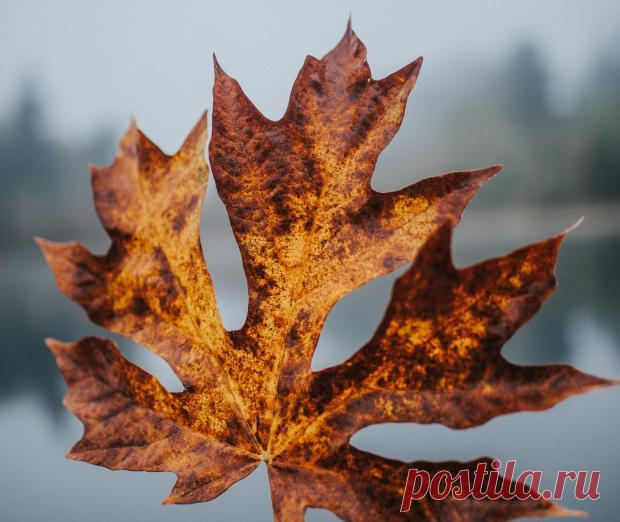 Магнитные бури сегодня: прогноз на 30 ноября – магнитосфера спокойная