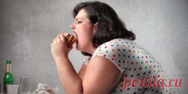 Попа раздора | Люблю Себя