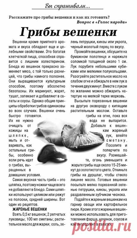 Как готовить грибы вешенки