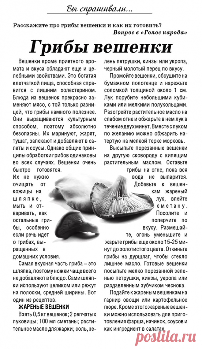 Как готовить грибы вешенки