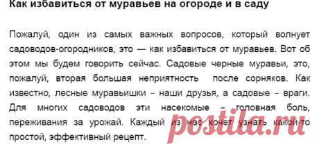 Как избавиться от муравьев на огороде и в саду » Уютный сад