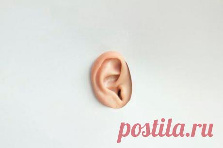 От простуды до менингита – одно ухо: чем опасен отит
Звенит, шуршит, щелкает, стреляет и, конечно же, болит – так ведет себя...
Читай пост далее на сайте. Жми ⏫ссылку выше