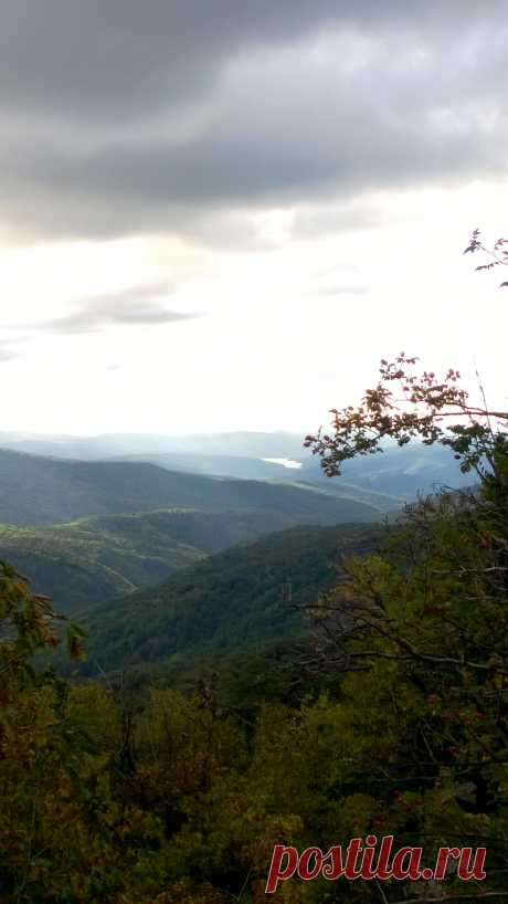 Крымский заповедник