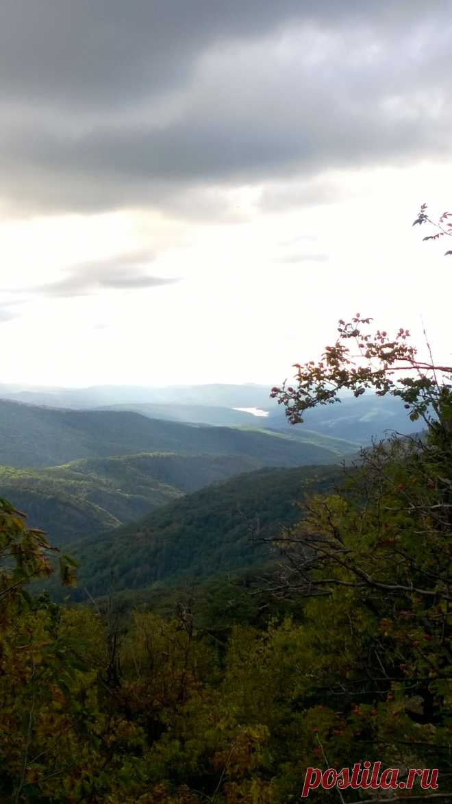 Крымский заповедник