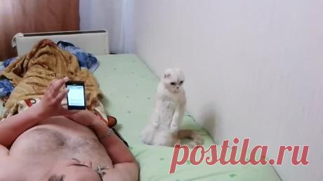 Одноклассники