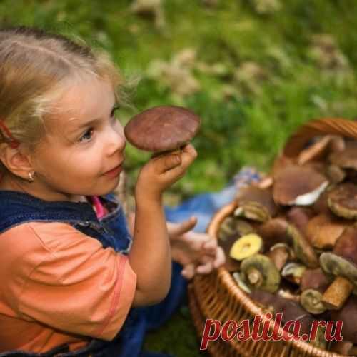 ЧТО НУЖНО ЗНАТЬ О ГРИБАХ....
