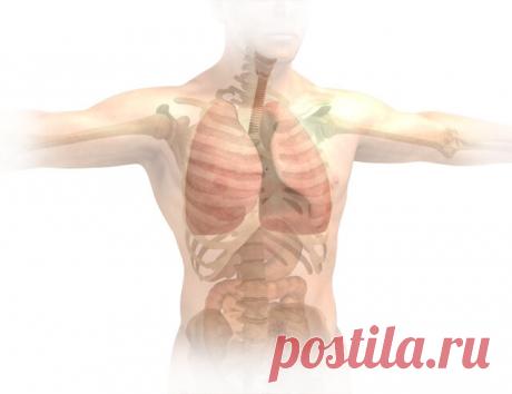 Как защитить легкие от инфекции? Простой рецепт | Виталий Декабрев | Яндекс Дзен