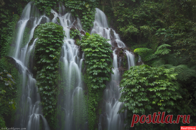 Фото: 