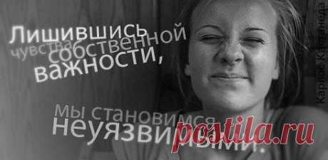 Мир Попугаев &amp;raquo;
