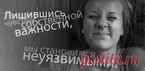 Мир Попугаев &raquo;