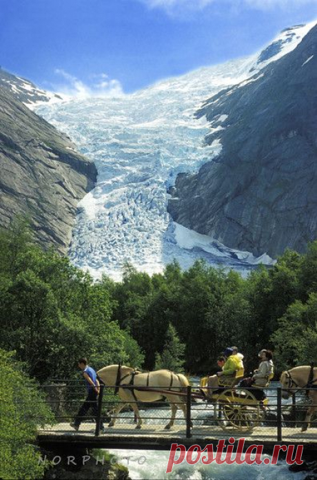 Поиск в Google