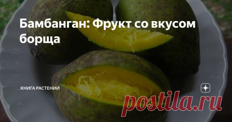 Бамбанган: Фрукт со вкусом борща Придя домой с работы или учебы, порой так отчаянно не хочется готовить! Плюхаешься ничком на диван и, прикрывая глаза, начинаешь мечтать о том, как бы было хорошо, если бы жареная курица росла прямо на дереве. Или же борщ. Настоящий, украинский, с чесночными пампушками, и чтобы еще с сальцем, мммм..

...а жители Борнео об этом не мечтают. Борща они за всю свою жизнь в глаза не видели, но именно он растёт у них на дереве. Вероятно, эволюция ...