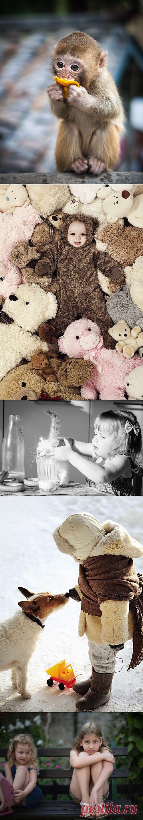 Красивые фотографии | Приколисты в картинках
